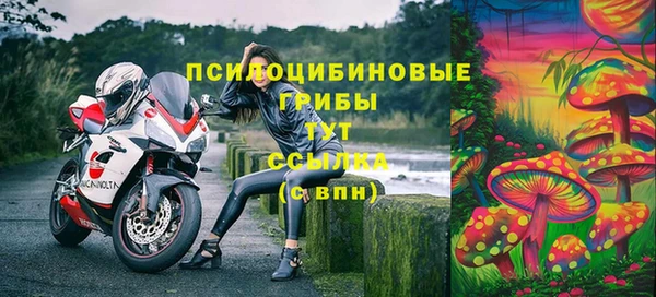 синтетический гашиш Елабуга