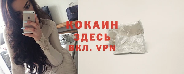 spice Алзамай