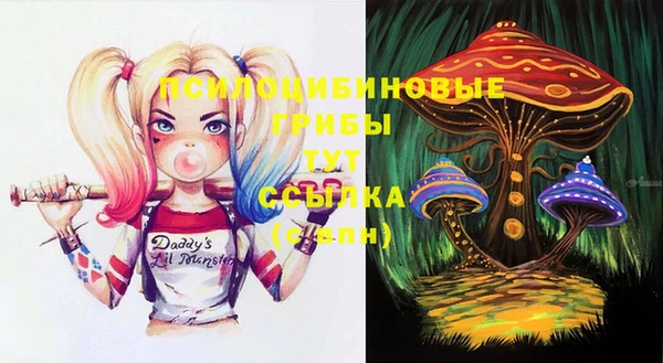 spice Алзамай