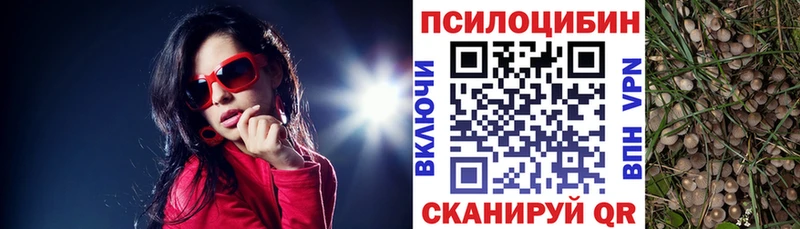 Псилоцибиновые грибы Cubensis  Усолье-Сибирское 